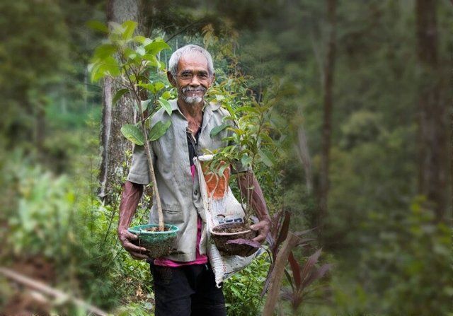 Sosok perintis lingkungan hidup di Wonogiri, Sadiman/solopos.com