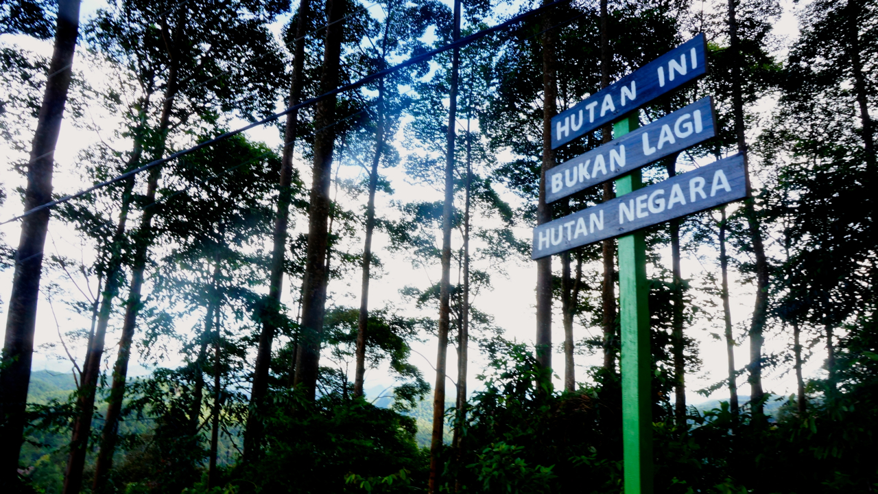 Plang Hutan Adat Bukan Hutan Negara di Kasepuhan Karang, Banten. Foto: Lusia Arumingtyas/ Mongabay Indonesia